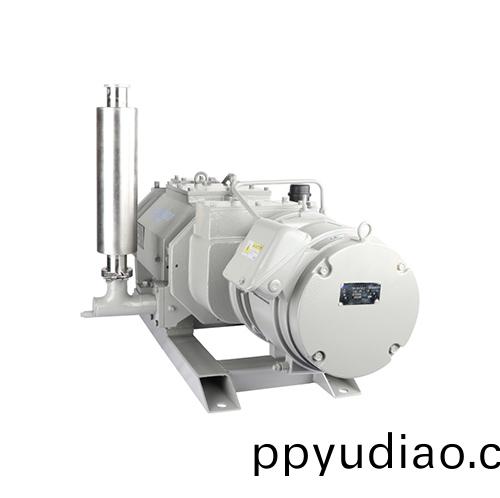 RKD0270榦式螺桿(gan)真空泵 好凱悳Hokaido榦泵