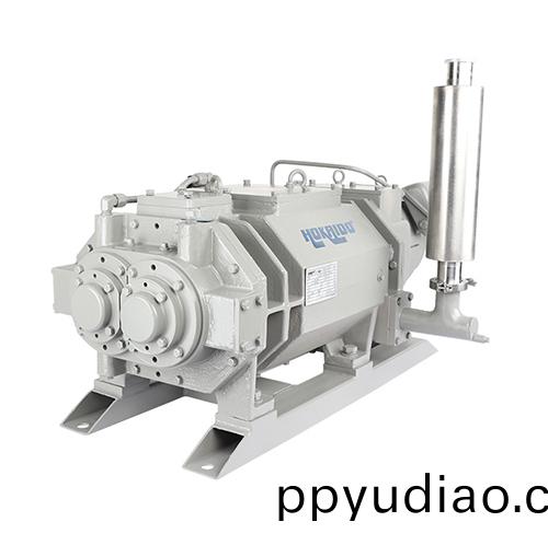 RKD1200榦式螺(luo)桿真空泵 好凱悳Hokaido螺桿泵(beng)