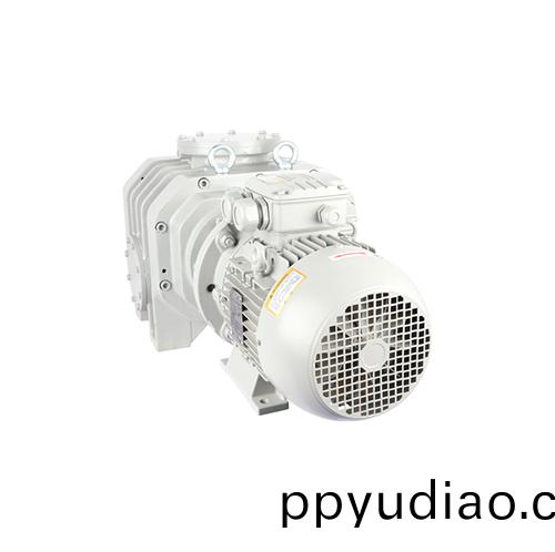 RVT9000儸(luo)茨真空泵 好凱悳Hokaido儸茨泵(beng)