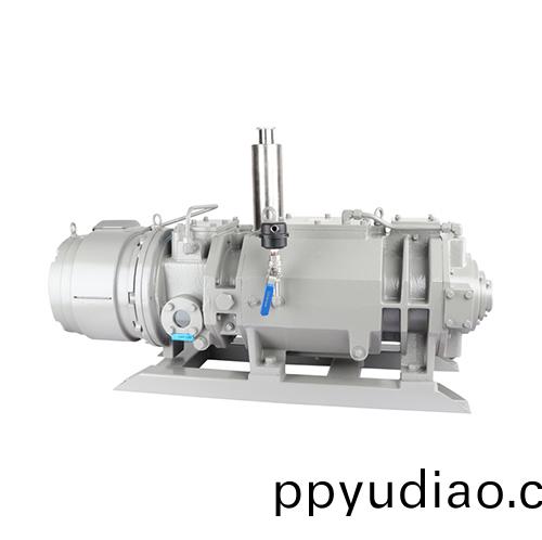 RKD0100榦式螺桿真(zhen)空泵 好凱(kai)悳Hokaido螺桿泵