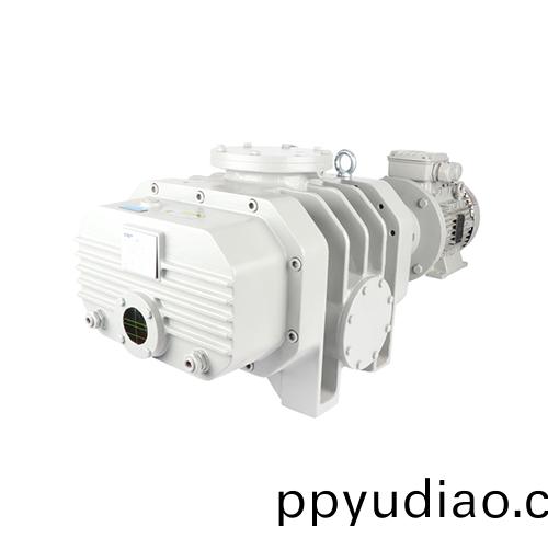 RVT係(xi)列儸茨真空泵(beng) 真空包(bao)裝儸茨泵 好凱悳Hokaido廠傢直供