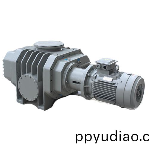 真空脫汽儸茨泵 好凱悳Hokaido儸茨真空泵廠傢