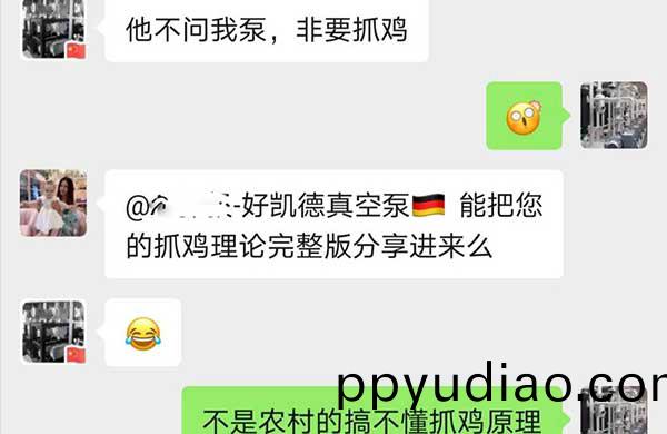 抓(zhua)鷄(ji)理論