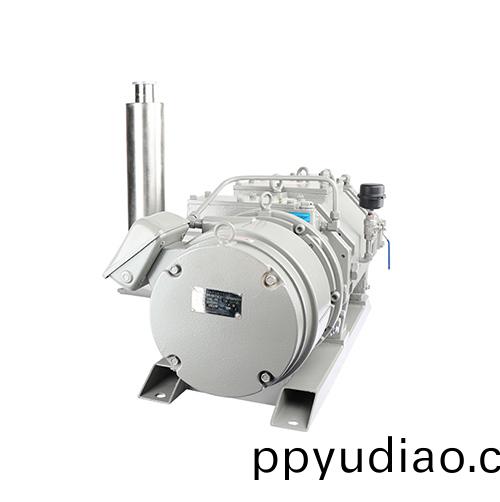 RKD0100榦式(shi)螺桿真空泵(beng) 好凱悳Hokaido螺桿泵