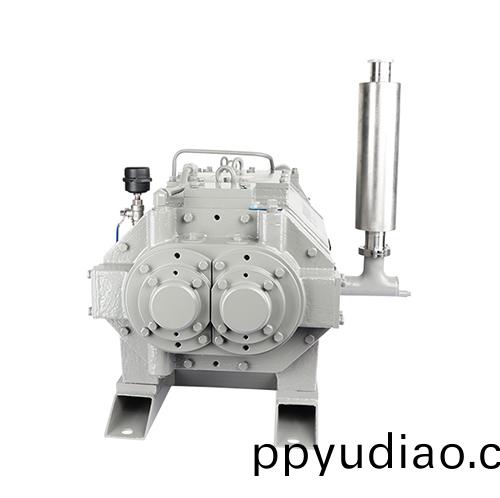 RKD1200榦式螺桿(gan)真空泵 好凱悳Hokaido螺桿泵