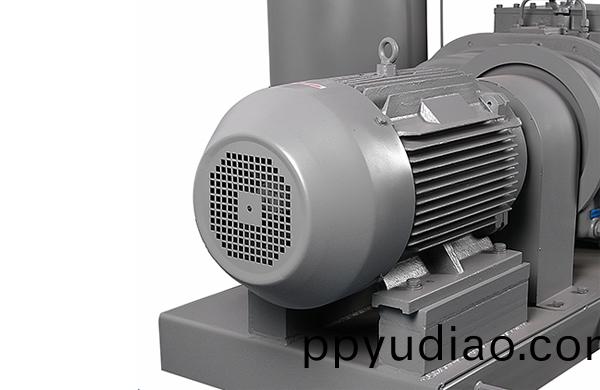 榦式螺桿真空泵有哪些特點？主要應用在哪裏？