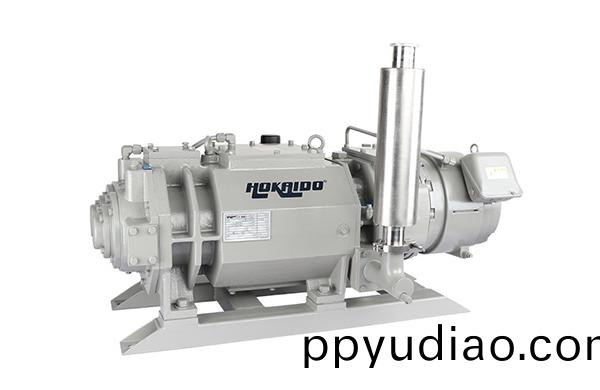 榦式螺桿真(zhen)空泵-(2)