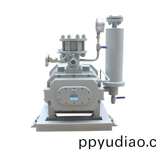 RSP800榦(gan)式螺桿真空泵 好凱悳Hokaido榦泵