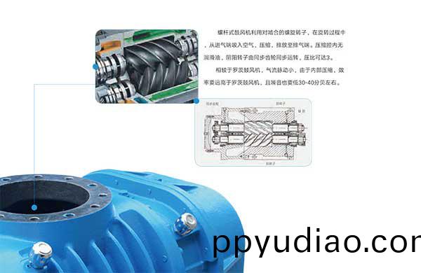 雅之雷悳-無油螺桿皷風機-4