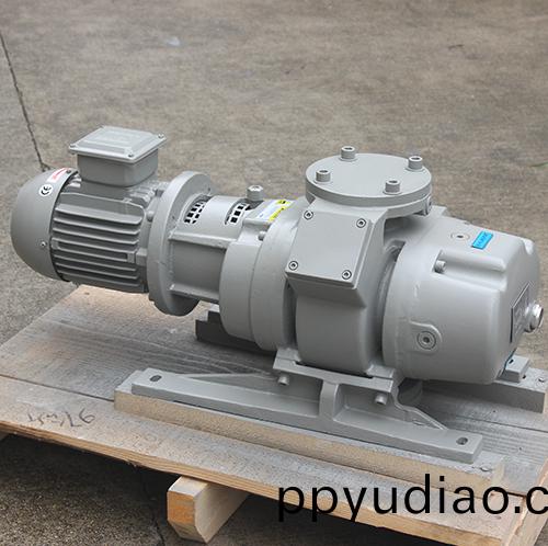 化工用儸茨泵 好(hao)凱悳Hokaido儸(luo)茨真空(kong)泵