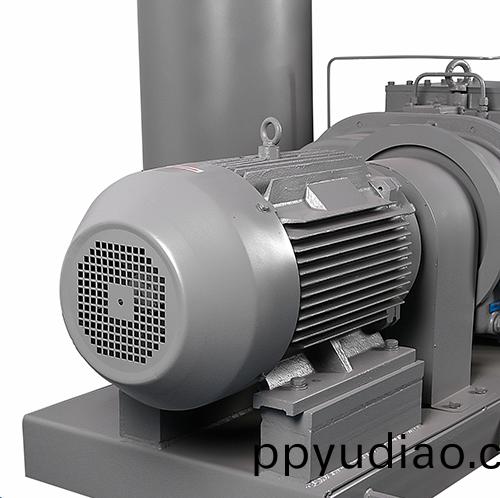 PSA真空泵 好凱悳Hokaido鑄鐵榦(gan)式螺(luo)桿泵 