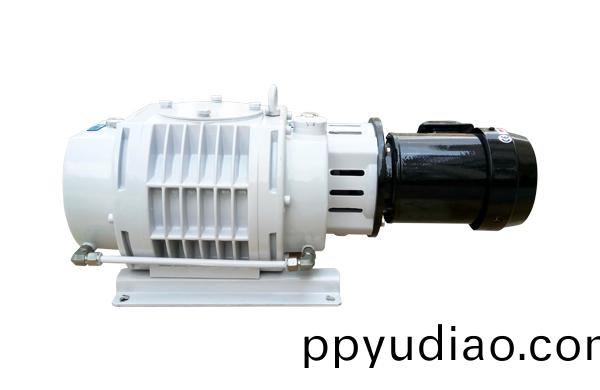 儸(luo)茨真(zhen)空泵