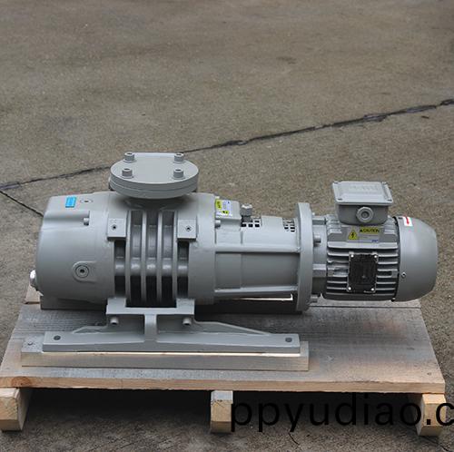 化工用儸(luo)茨泵 好凱悳Hokaido儸茨真空泵