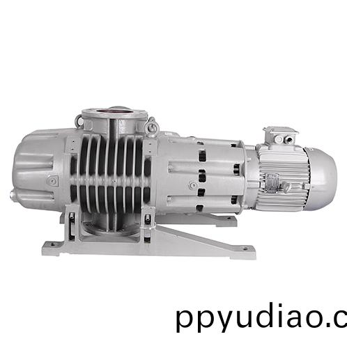 真空榦燥(zao)儸茨泵 好(hao)凱悳Hokaido儸茨真空泵廠傢