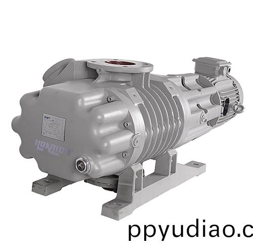 真空冷凍儸茨泵 好凱悳Hokaido儸(luo)茨真空泵批髮(fa)