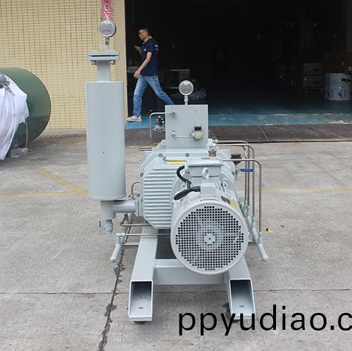 製藥螺桿(gan)榦泵 好(hao)凱悳Hokaido悳(de)國技術榦(gan)式螺桿真空泵 