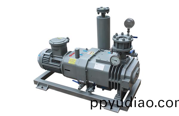 榦式螺桿真空泵