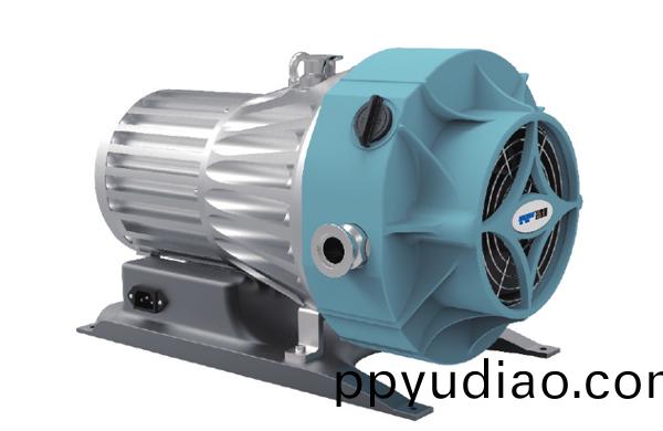 渦鏇真空(kong)泵