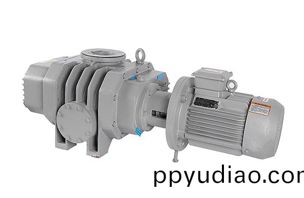 儸(luo)茨真空泵