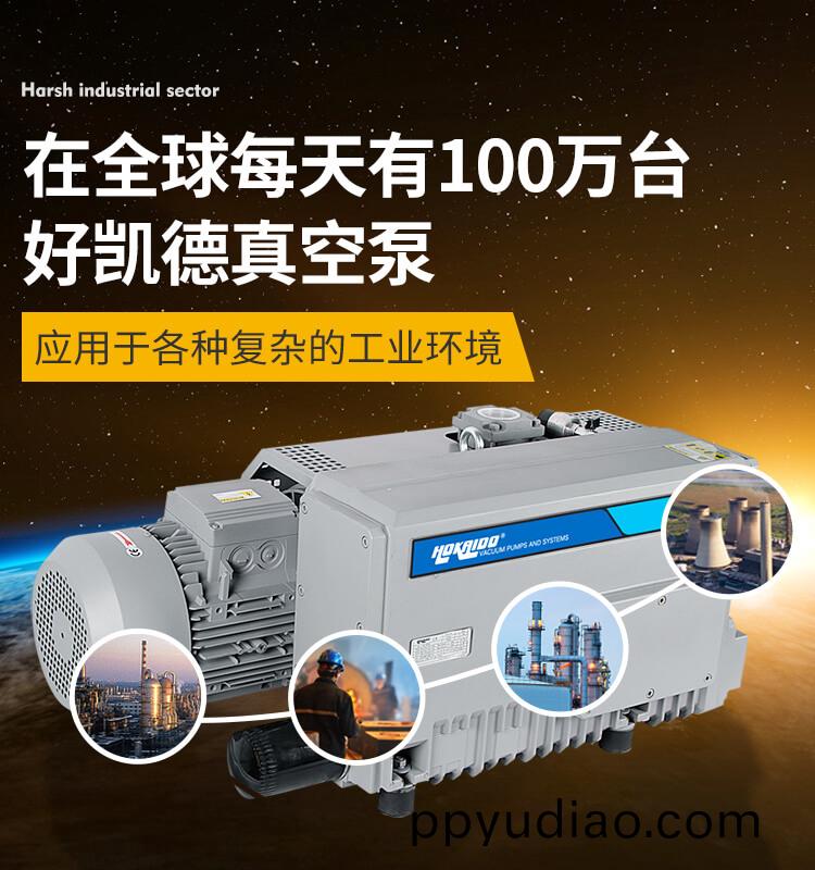 渦鏇(xuan)式真空(kong)泵