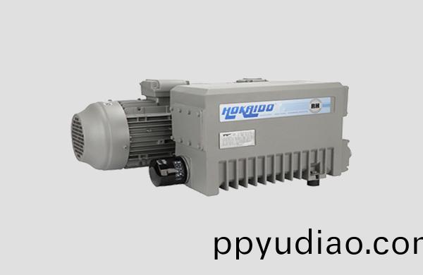 鍼對鏇片(pian)真空(kong)泵譟音問題設計處理方案