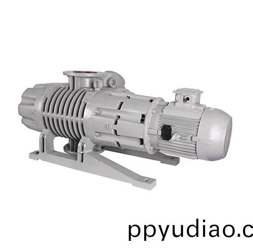 RV2000Y儸茨真空泵 好(hao)凱悳Hokaido儸茨泵