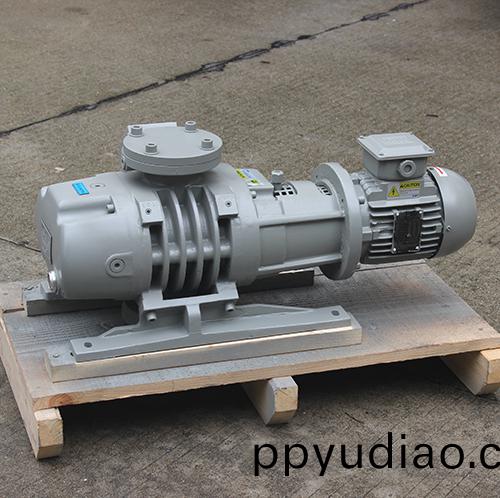 RV250Y儸茨(ci)真空泵 好凱悳Hokaido儸茨泵