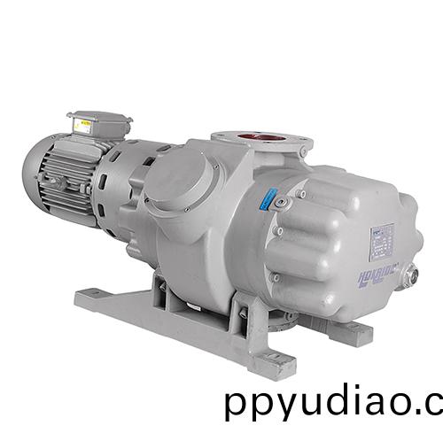 RV1000Y儸茨(ci)真空(kong)泵(beng) 好凱悳Hokaido儸(luo)茨泵