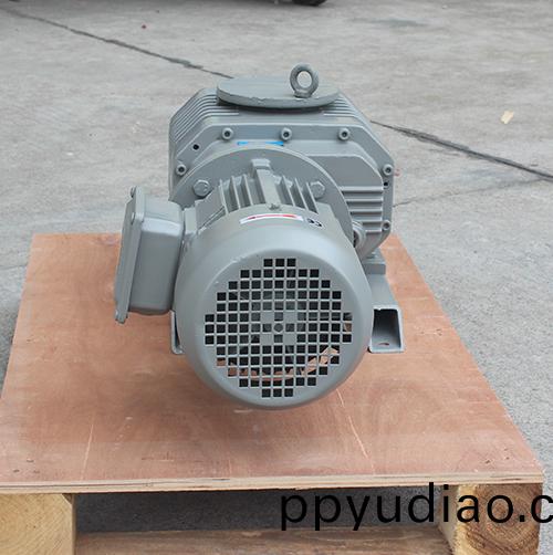 RVT0300儸茨真空泵 好凱悳Hokaido儸茨泵