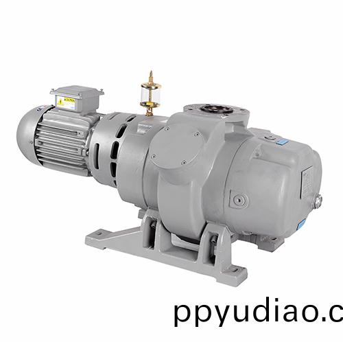 RV500Y儸茨(ci)真空泵(beng) 好(hao)凱悳Hokaido儸茨泵