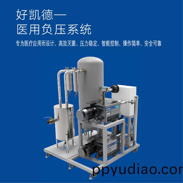 醫用負壓(ya)真空泵係統