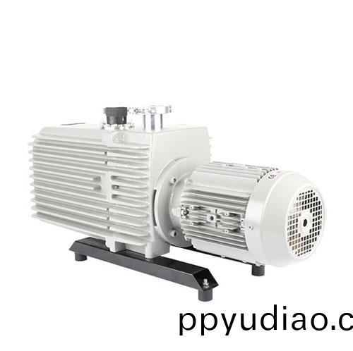 2RH048D雙級鏇(xuan)片真(zhen)空泵 好凱悳Hokaido真空設備 