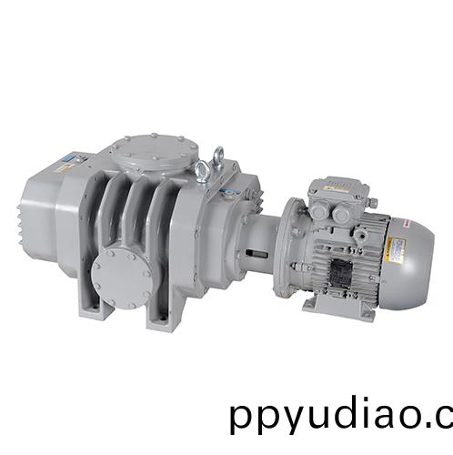 RVT1100儸(luo)茨真空泵 好凱悳Hokaido儸茨泵