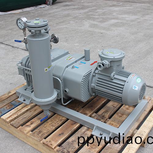 RSP280榦式螺桿真空泵 好凱悳Hokaido螺桿泵