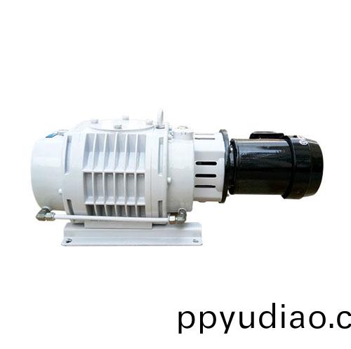 RV0300C儸茨真空(kong)泵 好凱悳(de)Hokaido儸茨(ci)泵