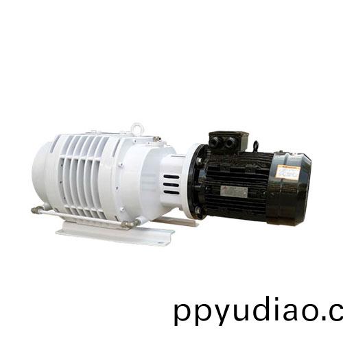 RV0500儸(luo)茨真空泵 好凱悳(de)Hokaido儸茨泵