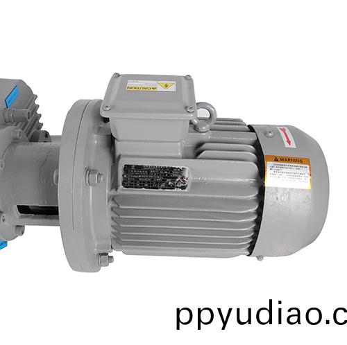 RVQ1100儸茨真(zhen)空泵 好凱悳Hokaido儸(luo)茨泵