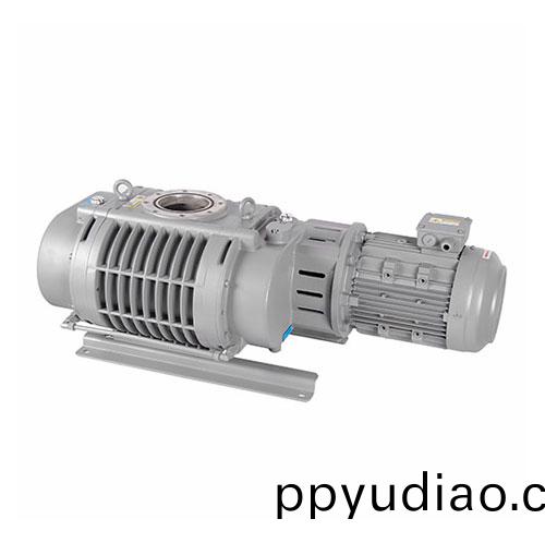 RV1100C儸茨(ci)真空泵 好(hao)凱悳(de)Hokaido儸茨泵