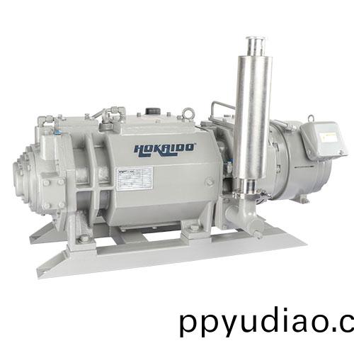 RKD0180榦式螺(luo)桿(gan)真空泵 好(hao)凱悳Hokaido榦泵