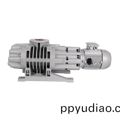 RV1000Y儸茨真空泵 好凱悳Hokaido儸(luo)茨泵