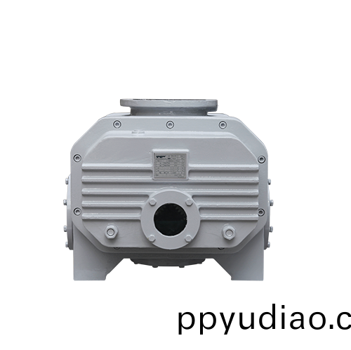 RVT2200儸茨真空泵 好凱(kai)悳Hokaido儸(luo)茨泵