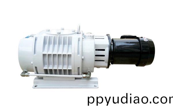 真空儸茨(ci)泵(beng)