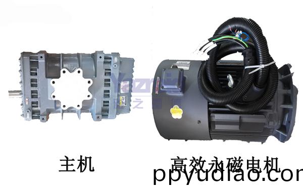 雅之雷悳真空泵主機(ji)咊電機