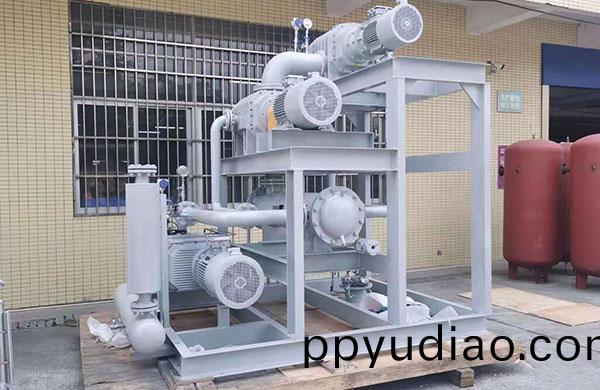 真空(kong)泵機組的非標定製服務，對採購商(shang)來説有多重要？