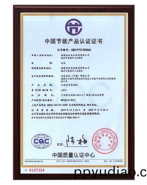 IE3節(jie)能電機産品認證