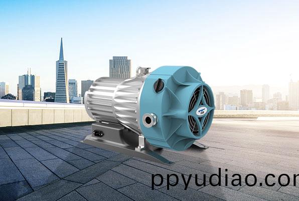 渦鏇式真(zhen)空(kong)泵