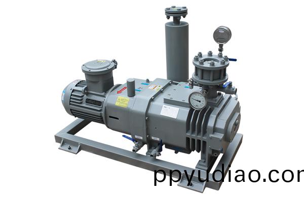 榦式真(zhen)空泵