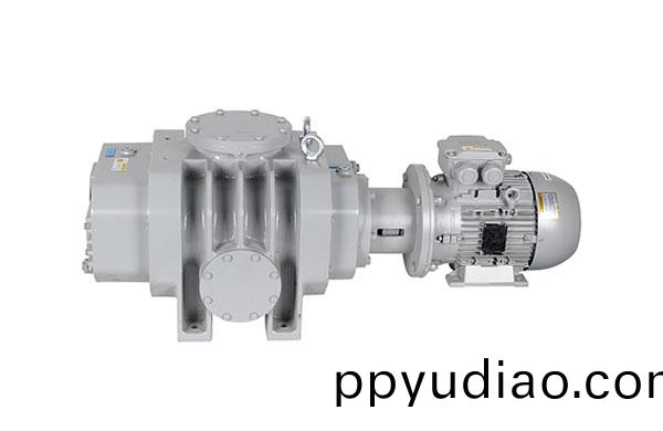 儸茨真(zhen)空泵的優勢有以下幾(ji)大方(fang)麵