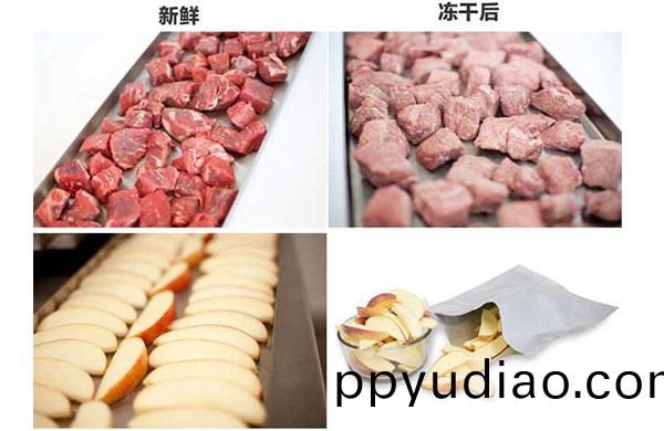 真空榦(gan)燥的原理、特點及應用(yong)，真空泵(beng)如(ru)何在其中髮揮作用？