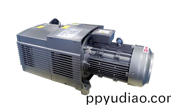 RVE60-160碳片真空(kong)泵 無(wu)油鏇片泵